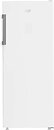 Фото BEKO B1RFNE273W
