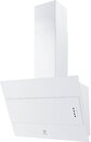 Фото Electrolux LFV316W