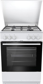 Фото Gorenje G6111WJ