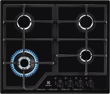 Фото Electrolux KGS6436K