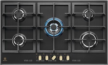 Фото Electrolux KGS9536RN