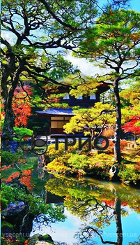 Фото Trio Японський сад