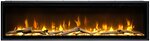 Фото Dimplex Ignite Evolve 60