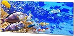 Фото HGlass IGH 5010 F Premium H