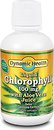 Фото Dynamic Health Liquid Chlorophyll With Aloe Vera зі смаком м'яти 473 мл