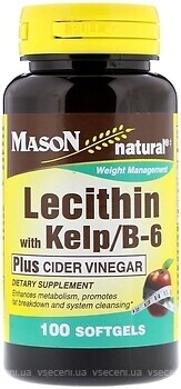 Фото Mason Natural Lecitin with Kelp/B6 100 капсул