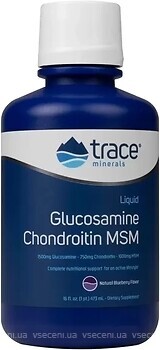 Фото Trace Minerals Glucosamine Chondroitin MSM зі смаком чорниці 473 мл