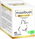 Фото Nutriexpert Maxibust 90 капсул