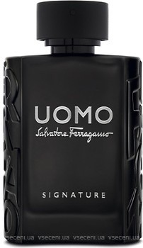 Фото Salvatore Ferragamo Uomo Signature 100 мл (тестер)