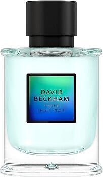 Фото David Beckham True Instinct 75 мл
