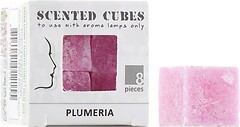 Фото Scented Cubes ароматичний віск Plumeria Плюмерія 8 шт