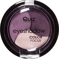 Фото Quiz Cosmetics Color Focus Eyeshadow 3-Colour 310