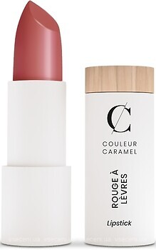 Фото Couleur Caramel Rouge A Levres №234