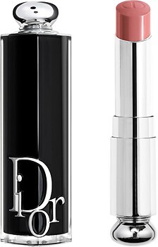Фото Dior Addict 250 Dior Charm