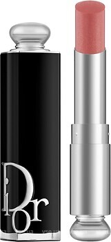 Фото Dior Addict 329 Tie & Dior