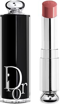 Фото Dior Addict 422 Rose des Vents