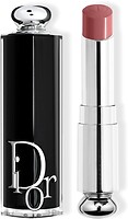Фото Dior Addict 521 Diorelita
