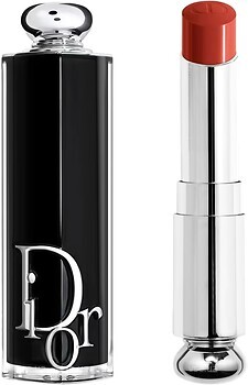 Фото Dior Addict 740 Saddle