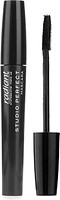 Фото Radiant Professional Make Up Studio Perfect Mascara Black