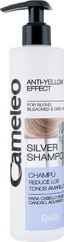 Фото Delia Cosmetics Cameleo Silver для светлых волос 250 мл