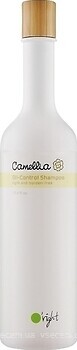 Фото O'right Camellia Oil-Control Камелія регулюючий 400 мл