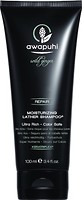 Фото Paul Mitchell Awapuhi Wild Ginger Moisturizing Lather зволожуючий 100 мл