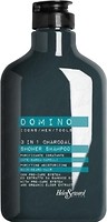 Фото Helen Seward Domino Care 3 in 1 Charcoal Shower 250 мл