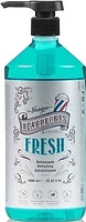 Фото Beardburys Fresh освежающий с экстрактом ментола 1 л