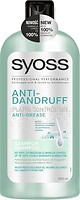 Фото Syoss Anti-Dandruff Platin Control 100 Anti-Grease для жирного схильного до лупи волосся 440 мл