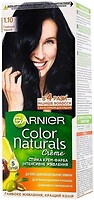 Фото Garnier Color Naturals 1.10 глибокий чорний