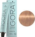 Фото Schwarzkopf Professional Igora Royal 10-49 бежевый