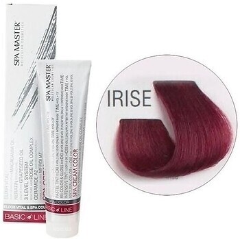 Фото Spa Master Basic Line Spa Cream Color Irise ірис