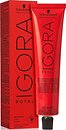 Фото Schwarzkopf Professional Igora Royal 3-22 темно-каштановий