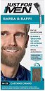 Фарби для волосся Just For Men