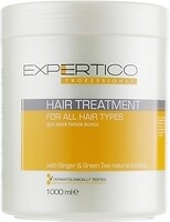 Фото TICO Professional Expertico Hair Treatment для всіх типів волосся 1000 мл