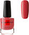 Фото Sophin Nail Polish №024