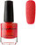 Фото Sophin Nail Polish №262