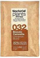 Фото Trendy Hair Tinctorial Plants Therapy Demi-Permanent Vegan Hair Color 32 Cinnamon Blond коричневый блондин