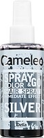 Фото Delia Cosmetics Cameleo Spray & Go Silver срібло