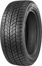 Фото Doublestar Winterking DW09 (235/55R20 102H)