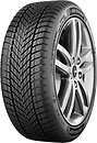 Фото Dunlop Winter (205/55R19 97V)