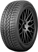 Фото Paxaro Inverno (195/55R16 87H)