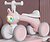 Фото Maraton KML 201 Pink