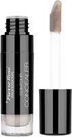 Фото Pierre Rene Contour Concealer №01