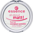 Пудра Essence