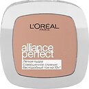 Фото L'Oreal Alliance Perfect Compact Powder D5 Бежево-золотистий