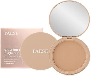 Фото Paese Glowing Powder 13 Golden Beige