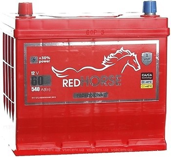 Фото Red Horse Professional Asia 60 Ah Euro