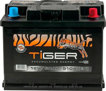 Фото Tiger 60 Ah Euro