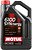 Фото Motul 6100 Synergie 5W-30 5 л (838351/107972)